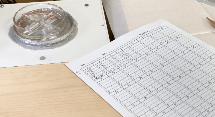 術後移植量確認