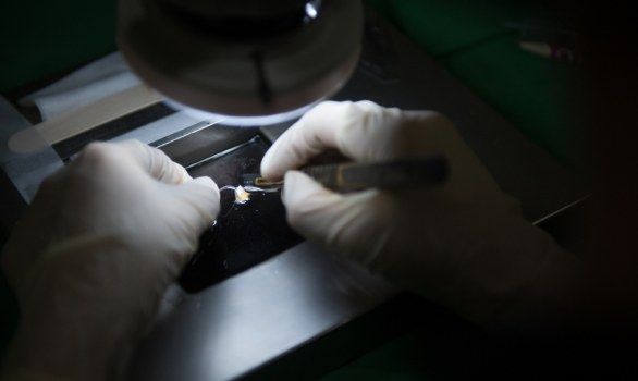 毛嚢水分維持装置（アクアカッティング）