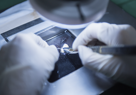 水中分離アクアカッティング