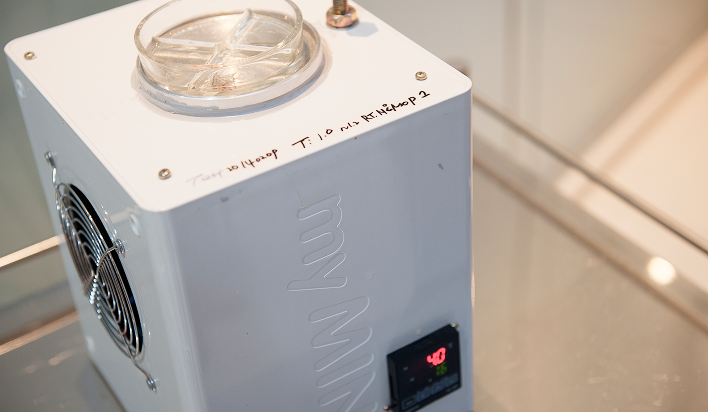 臓器保存液使用と低温維持